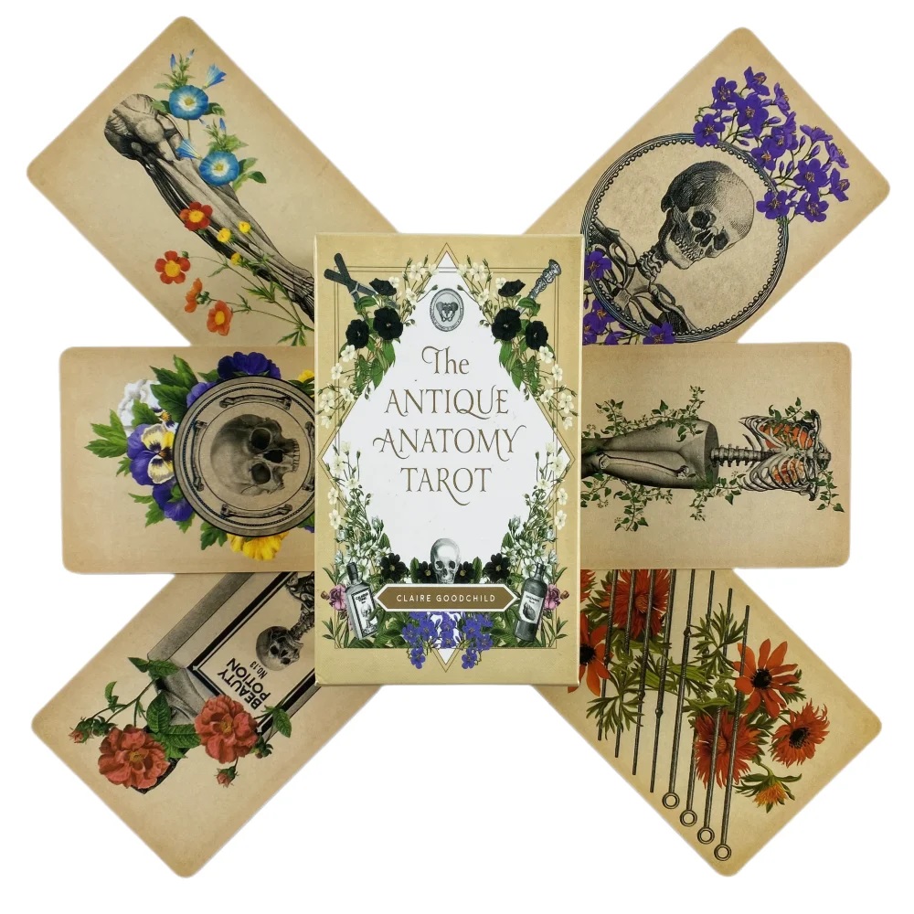 Cartas de tarô de anatomia ant - Card Game Deck avaliação e preço