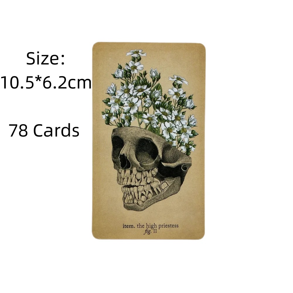 Cartas de tarô de anatomia ant - Card Game Deck avaliação e preço