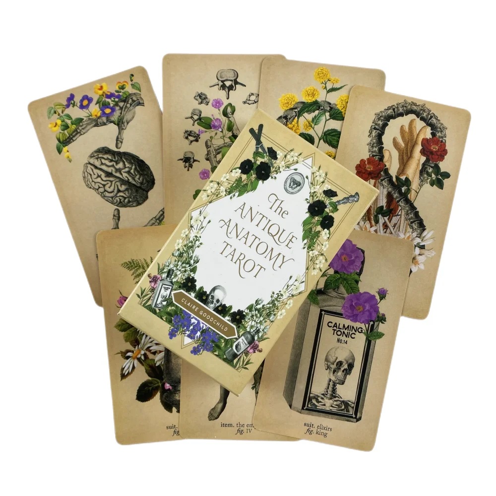 Cartas de tarô de anatomia ant - Card Game Deck avaliação e preço