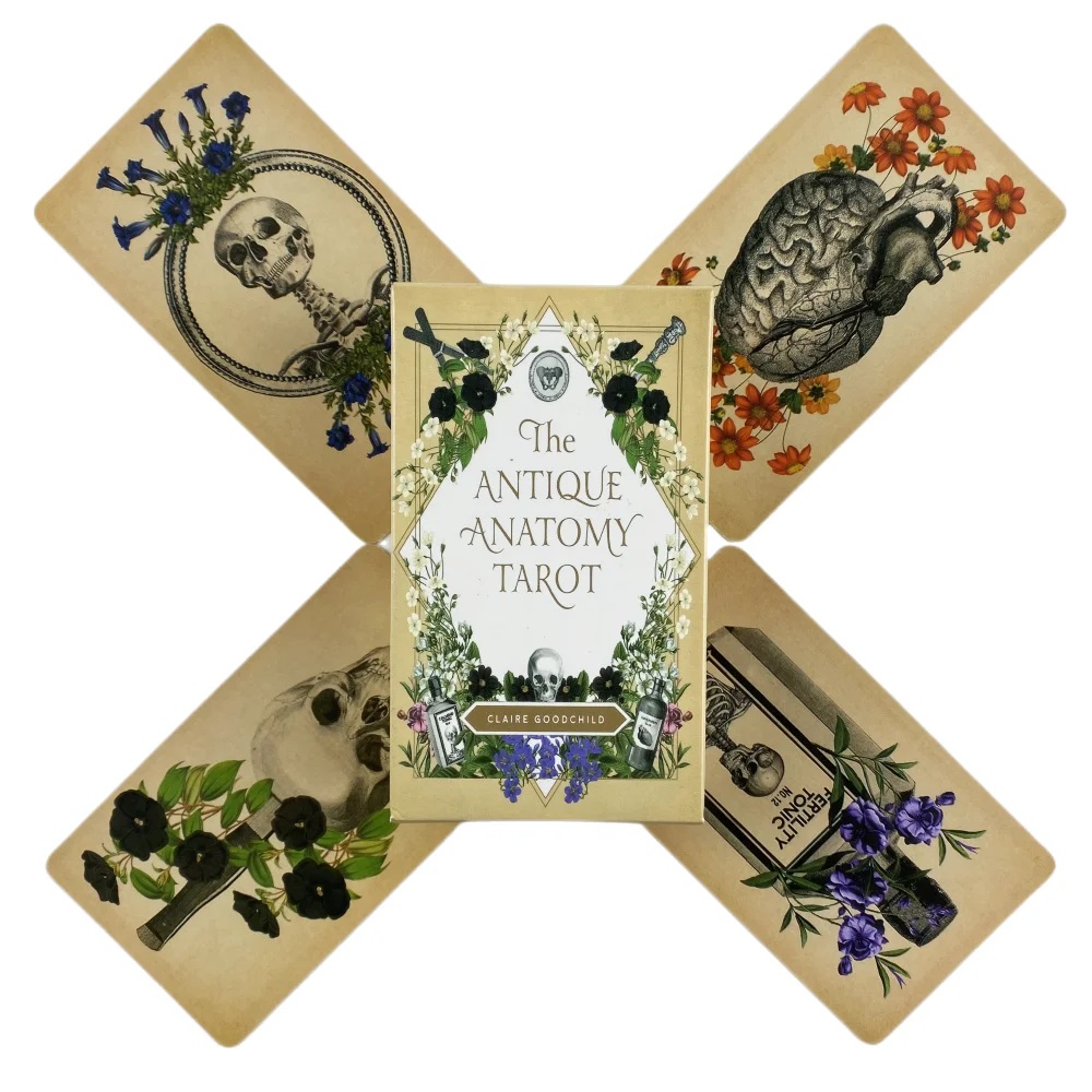 Cartas de tarô de anatomia ant - Card Game Deck avaliação e preço